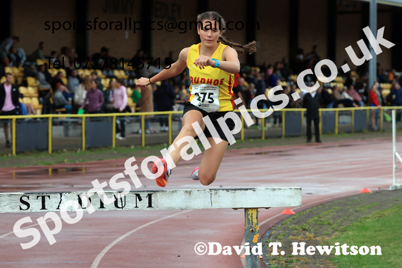 Steeplechase, 2026 NEGP No 5, Monkton. Photo: David T. Hewitson/Sports for All Pics